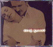 David Sylvian - I Surrender